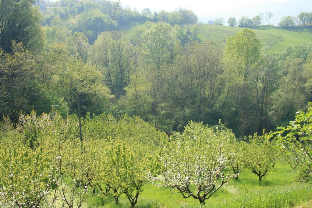 Casa Dell' Abbondanza B&B Agriturismo Vigoleno Экстерьер фото