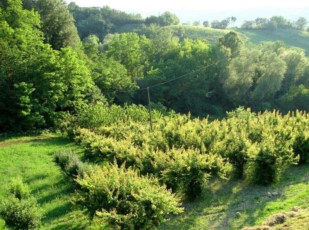 Casa Dell' Abbondanza B&B Agriturismo Vigoleno Номер фото