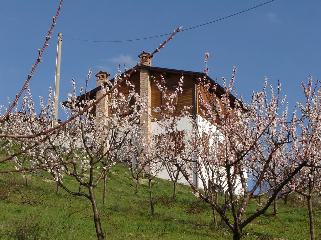 Casa Dell' Abbondanza B&B Agriturismo Vigoleno Экстерьер фото
