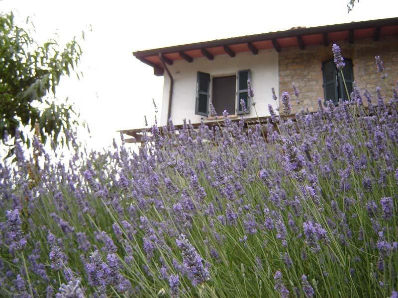 Casa Dell' Abbondanza B&B Agriturismo Vigoleno Экстерьер фото